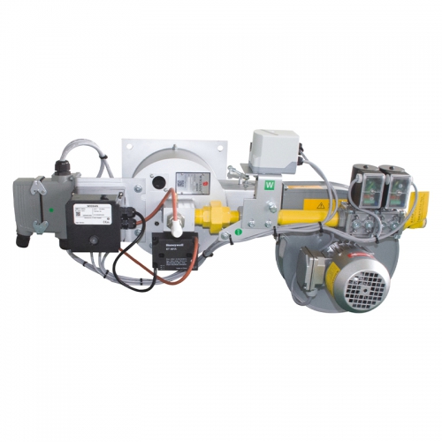 WGS-WP300